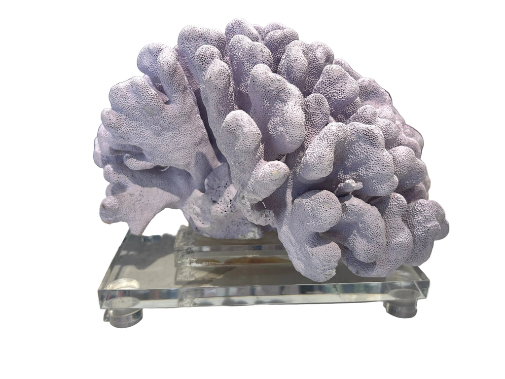 purple coral on acrylic