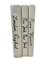 Load image into Gallery viewer, set of city deor books