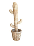 hand woven rattan cactus