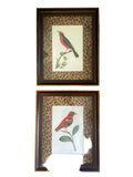 african bird prints-pair