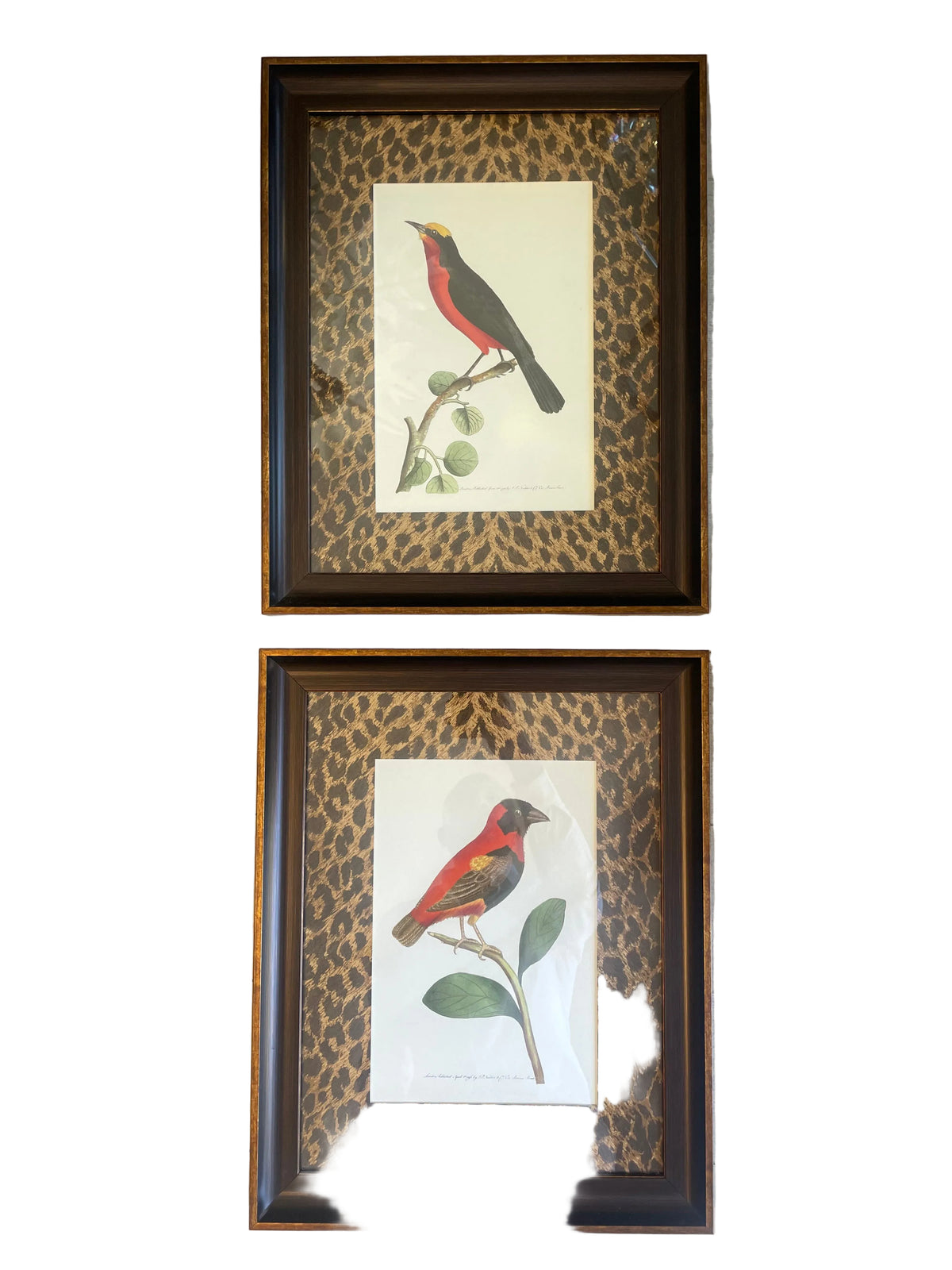 african bird prints-pair