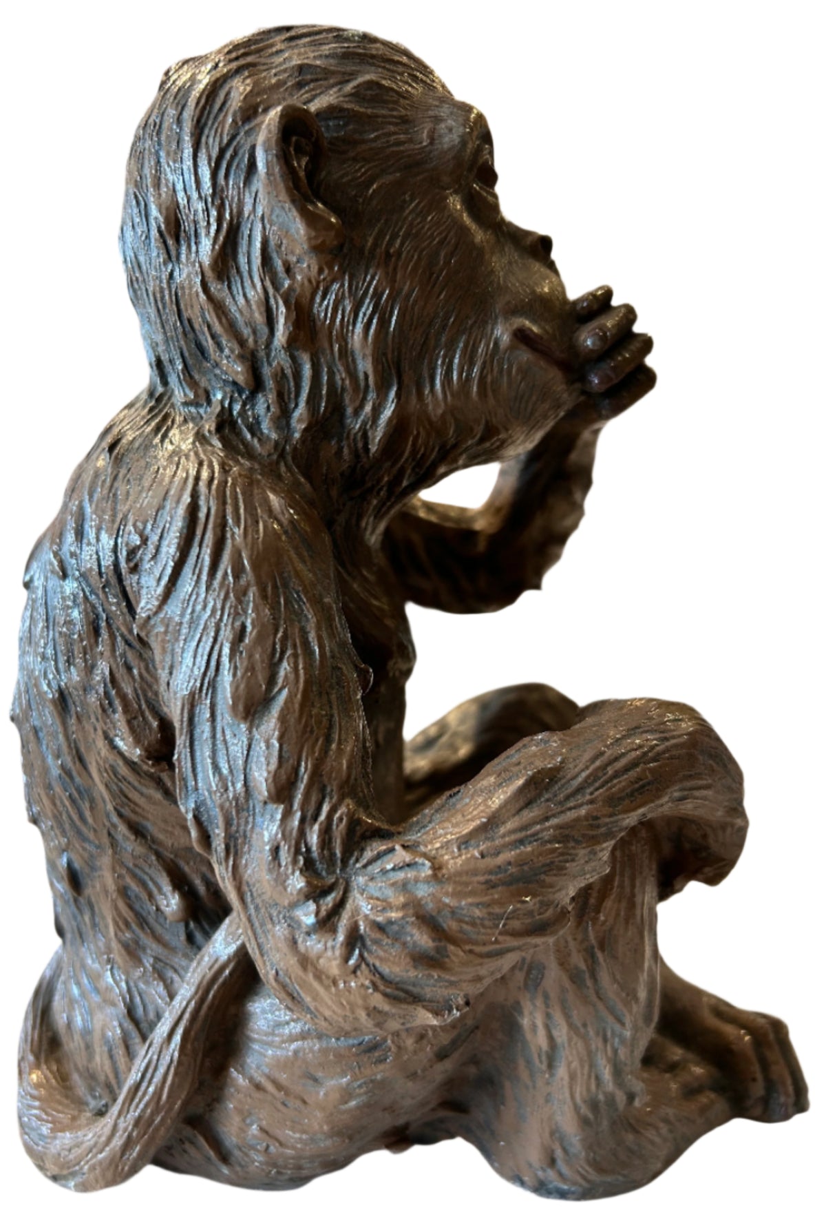 speak no evil monkey