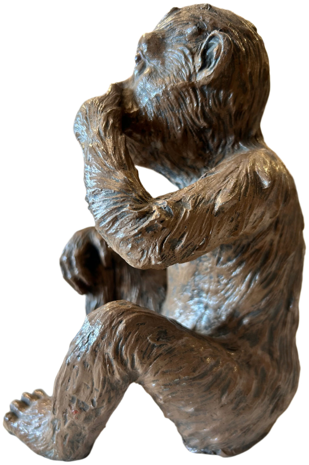 speak no evil monkey
