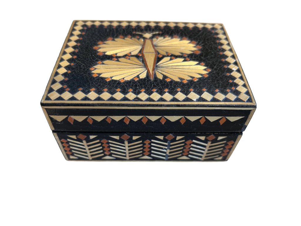 straw dragonfly box