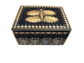 straw dragonfly box