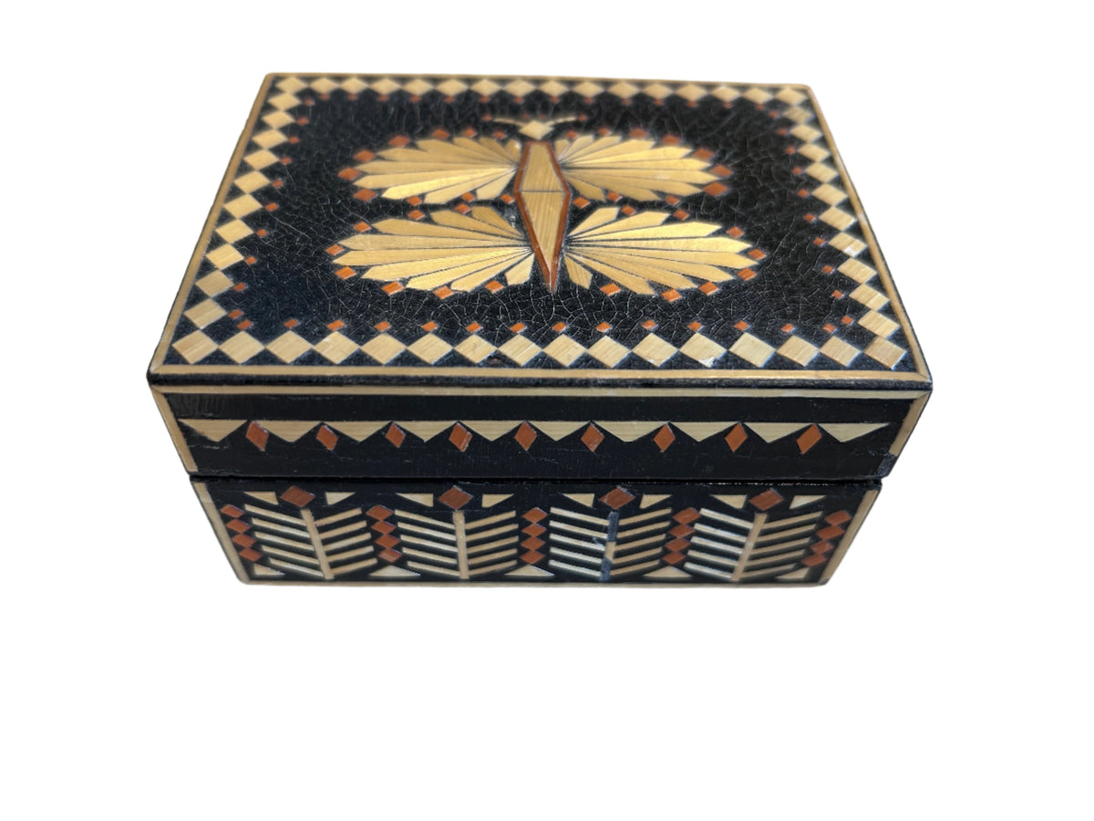 straw dragonfly box