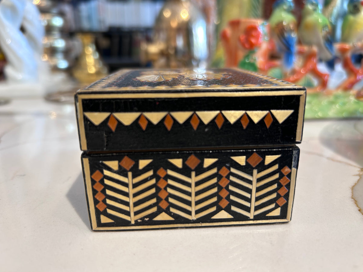 straw dragonfly box