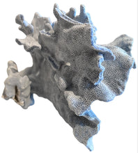 Load image into Gallery viewer, natural blue coral