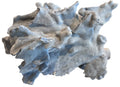 natural blue coral