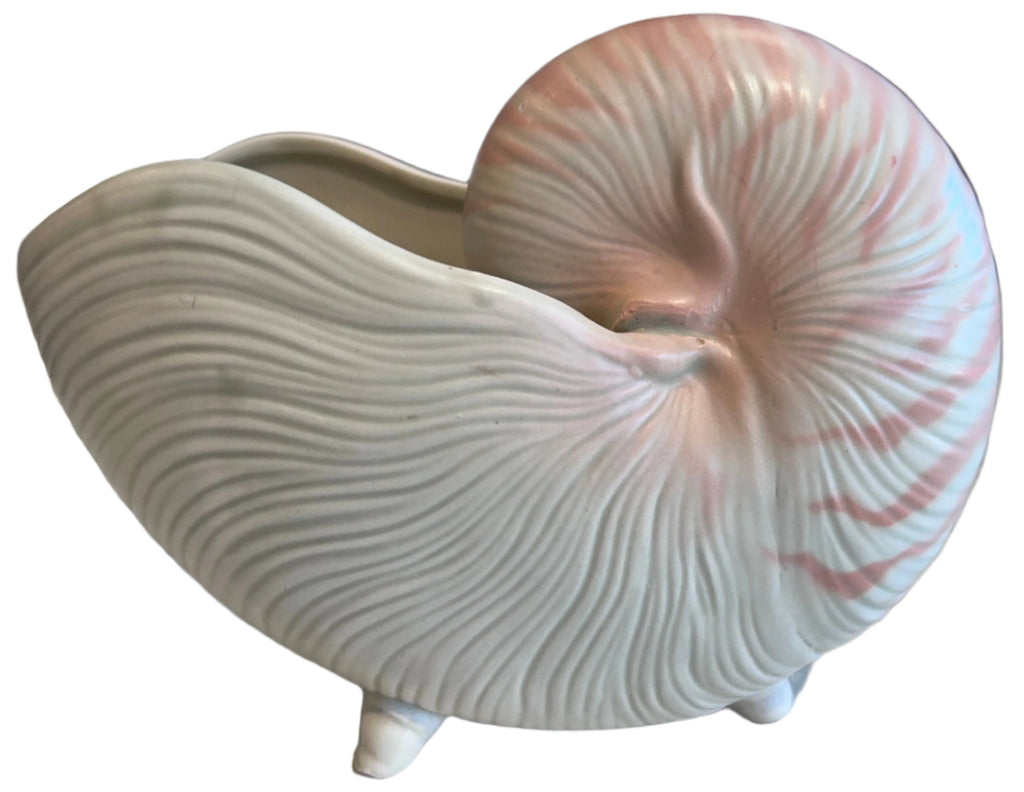 fitz & floyd nautilus shell