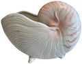 fitz & floyd nautilus shell