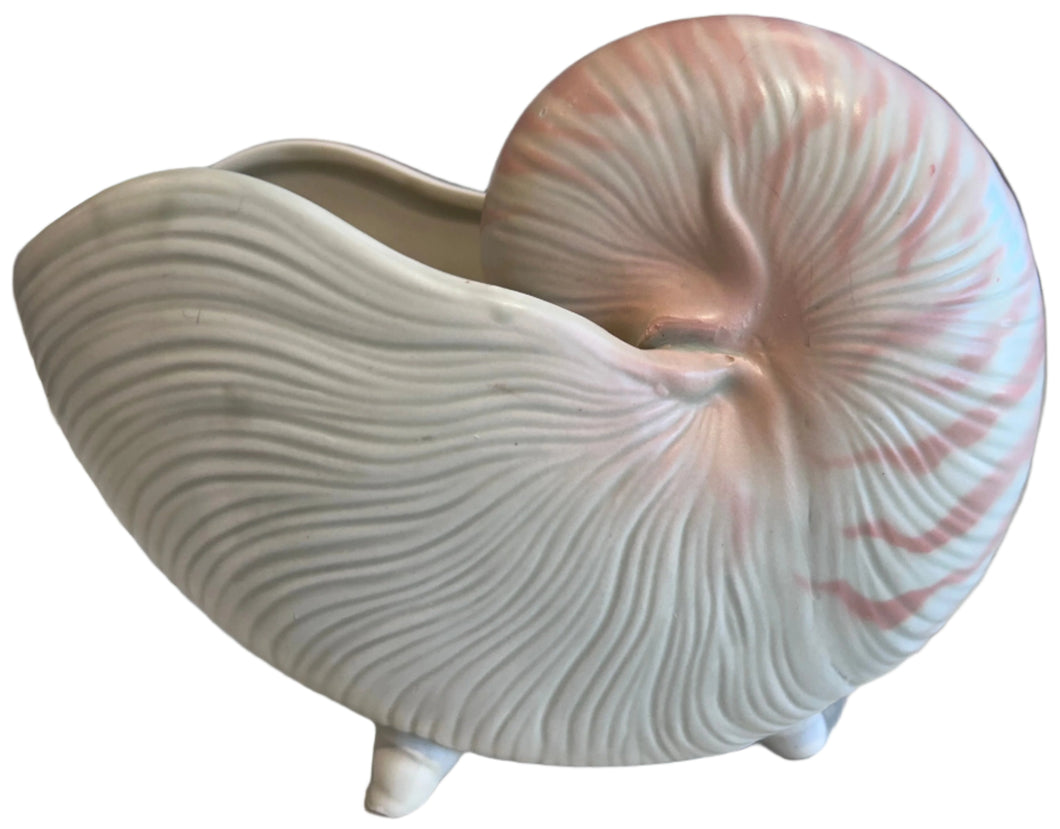 fitz & floyd nautilus shell