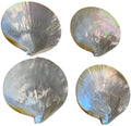 set of 4 caviar dishes