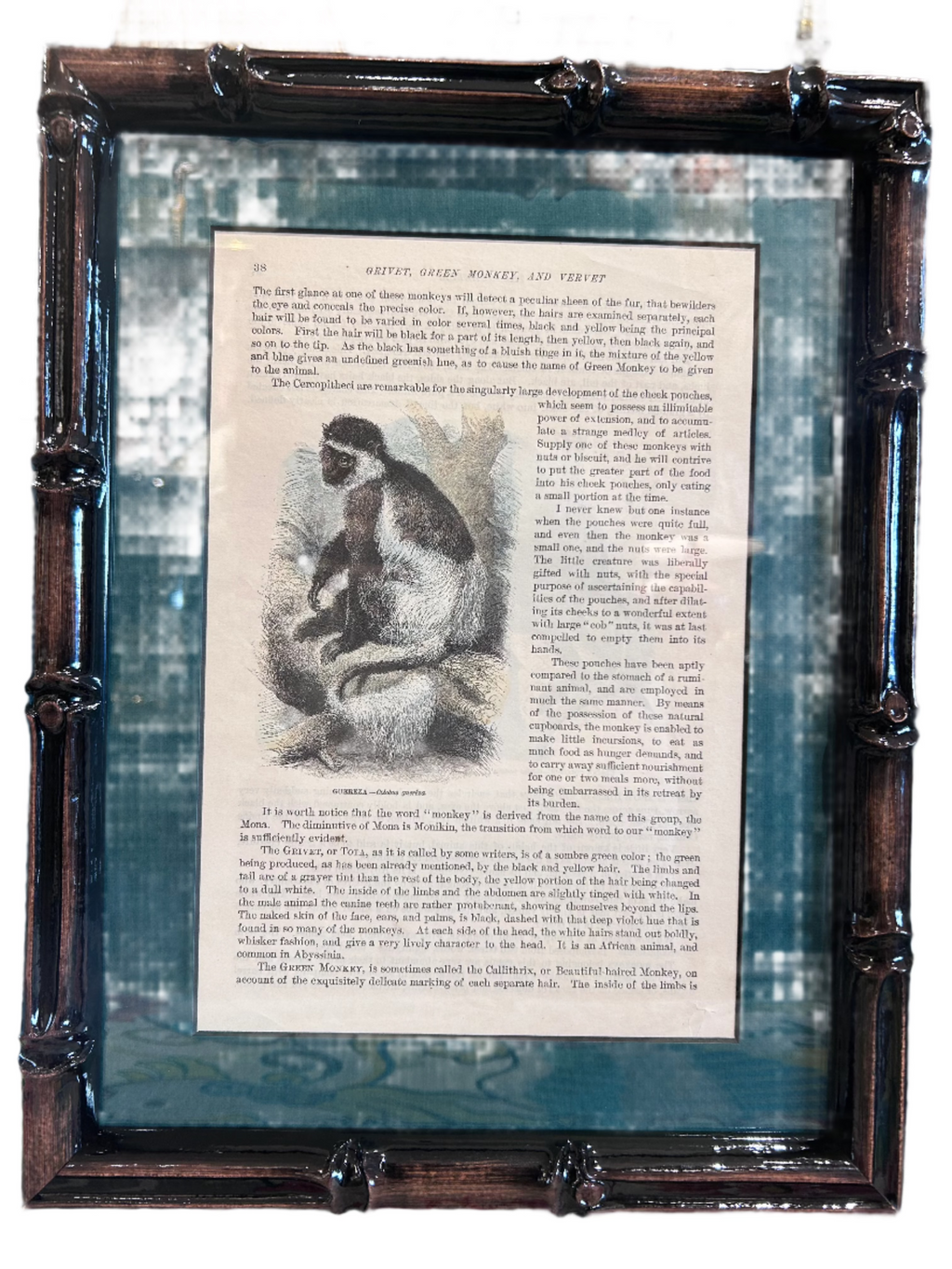 framed monkey prints - set of 6