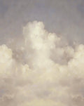 Nubem wallpaper in Nubem