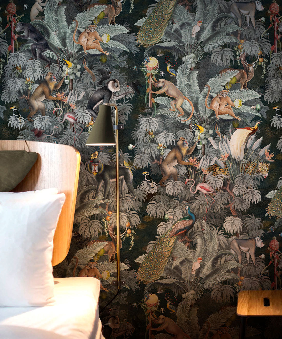 Arcadia Wallpaper • Night Sky • Insitu