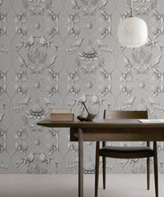 Load image into Gallery viewer, Australis • Kingdom Home • Insitu • Bondi