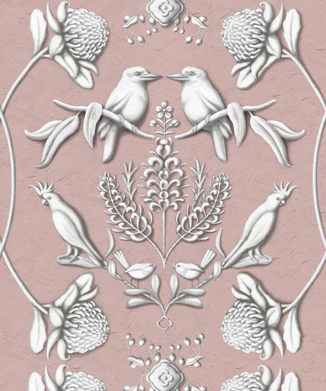 Australis • Kingdom Home • Coral