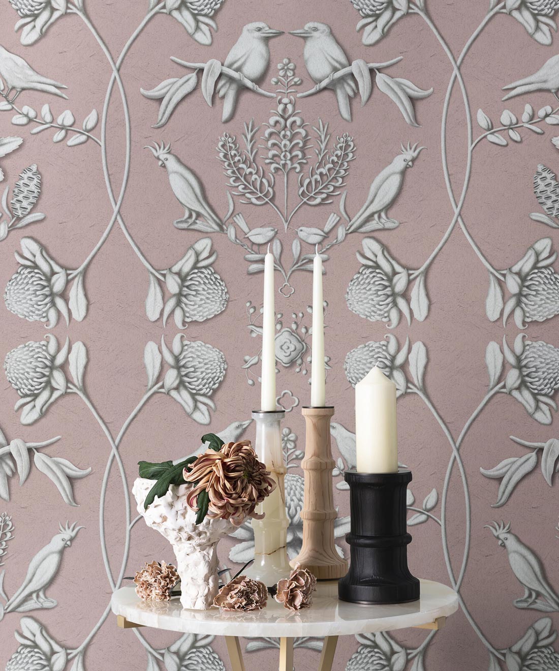 Australis • Kingdom Home • Insitu • Coral