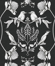 Load image into Gallery viewer, Australis • Kingdom Home • Night