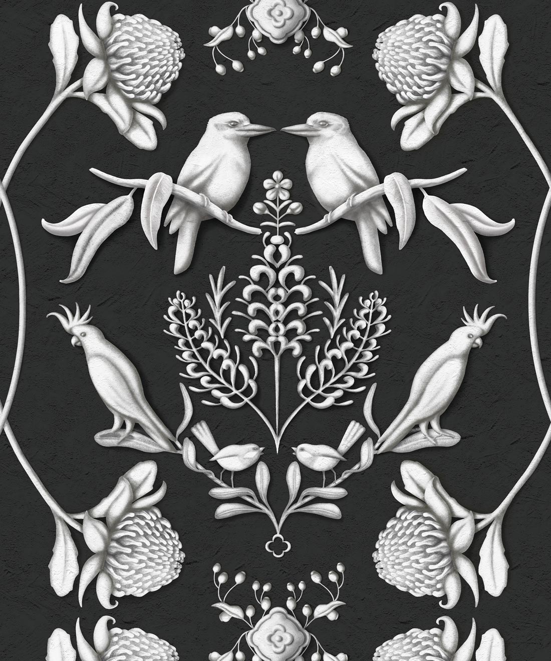 Australis • Kingdom Home • Night