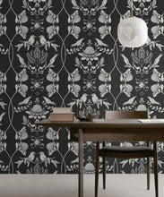 Load image into Gallery viewer, Australis • Kingdom Home • Insitu • Night