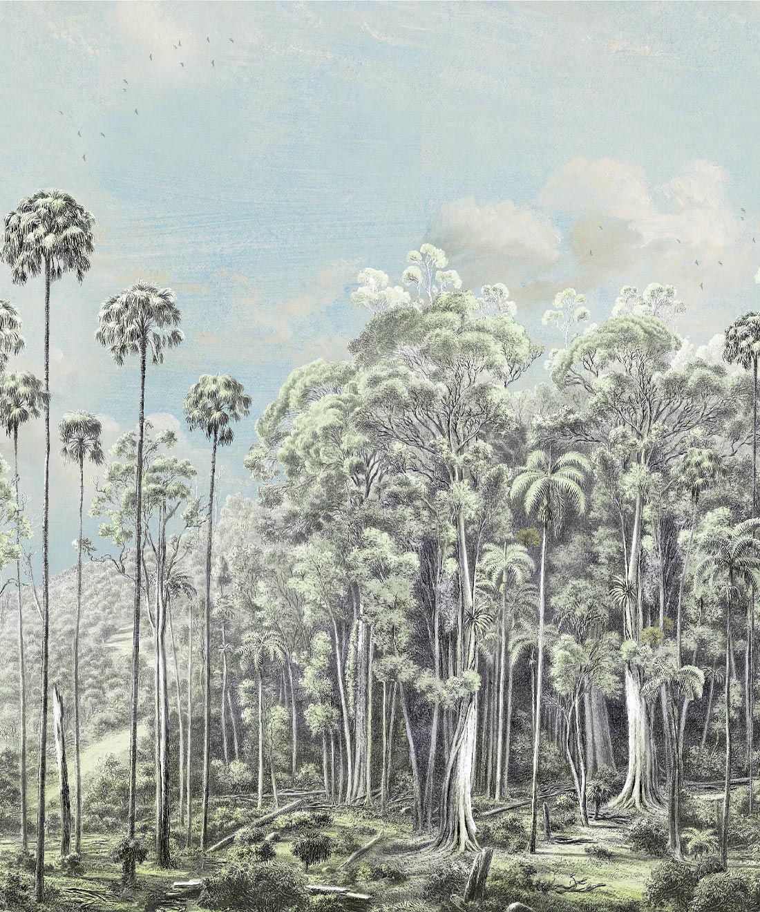 Kimberley Mural • Kingdom Home • Swatch • Eucalyptus