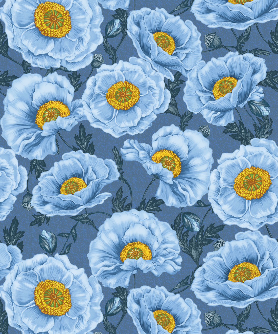 Papaver Wallpaper