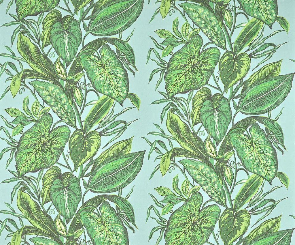 Nassau wallpaper in LAGON