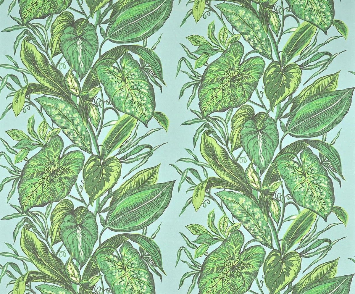 Nassau wallpaper in LAGON