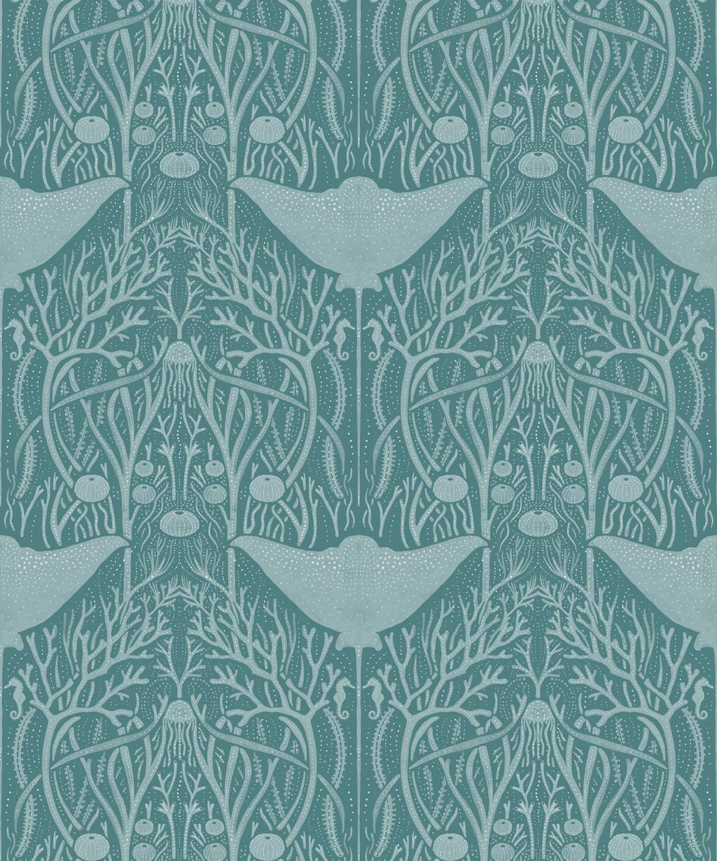 Manta Ray Wallpaper