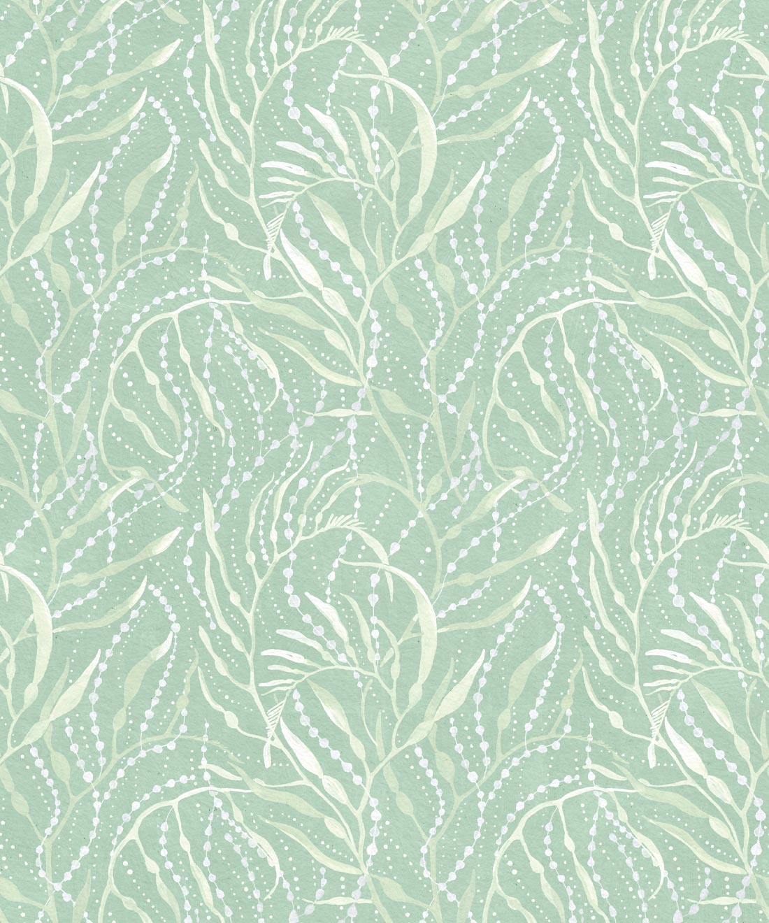 Neptune’s Necklace Wallpaper