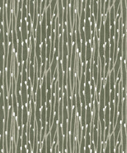 Load image into Gallery viewer, Pussy Willow Wallpaper • Abstract Botanical Wallpaper • Evergreen• Swatch