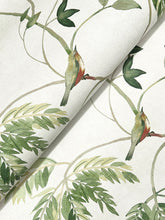 Load image into Gallery viewer, Cillian Wallpaper - Green wallpaper pattern