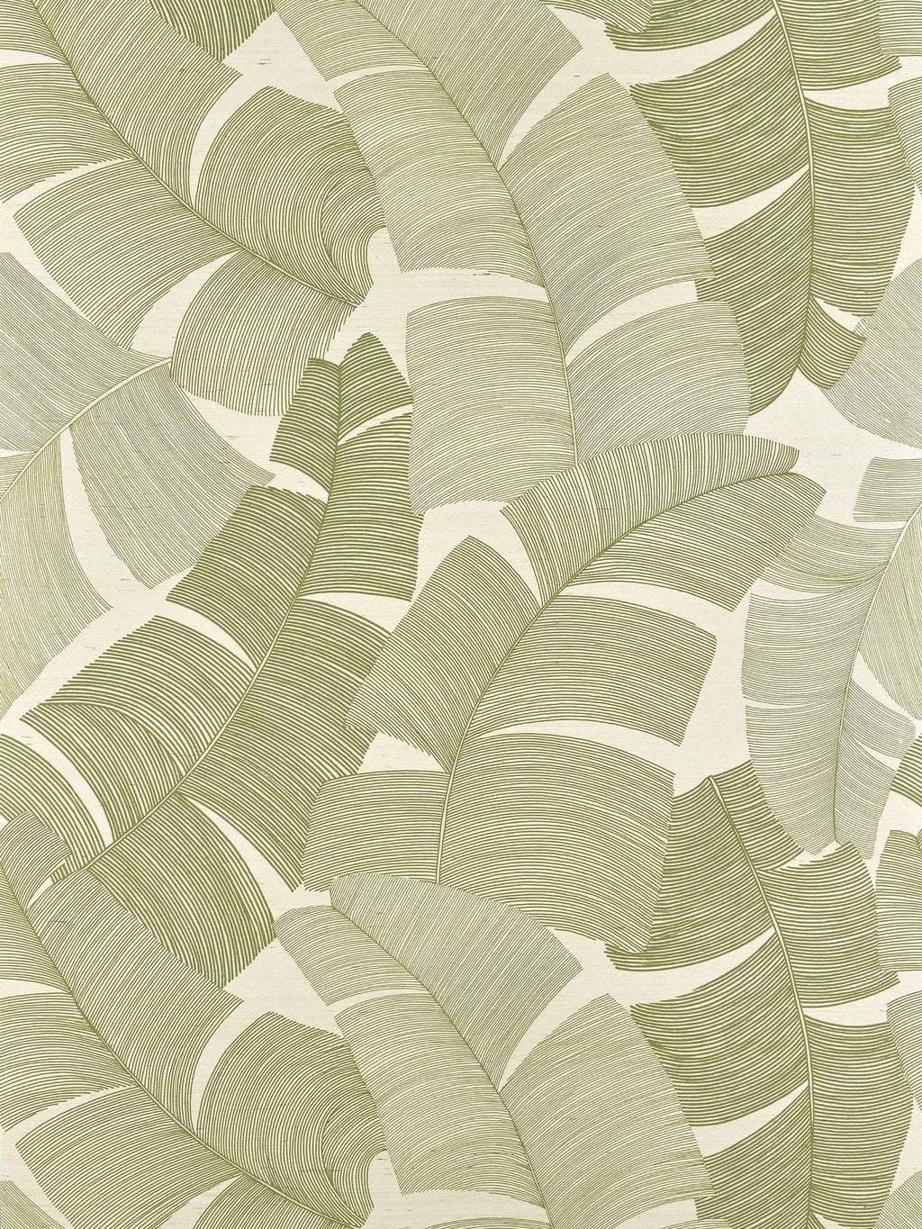Tikehau wallpaper in Palmier