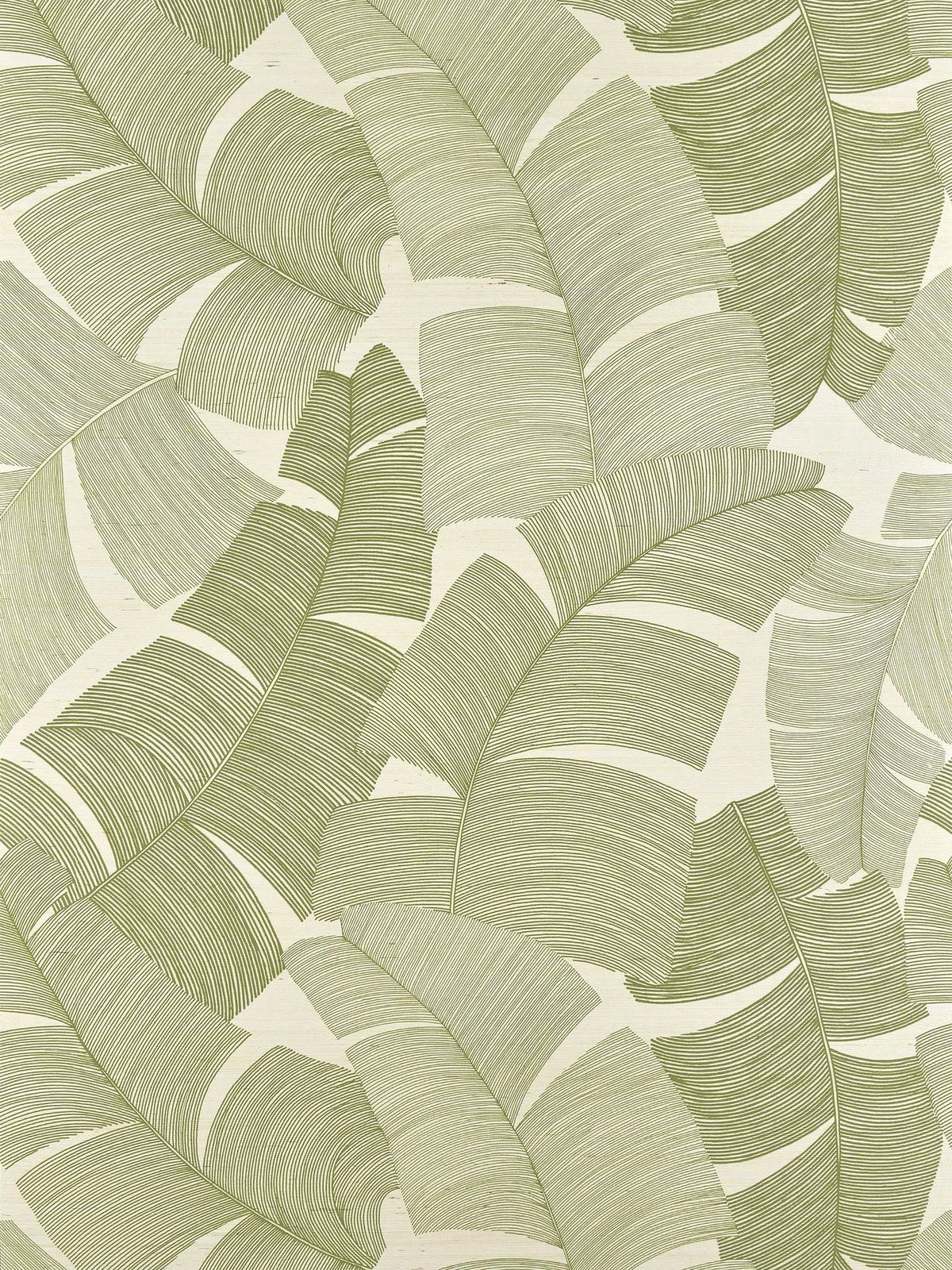 Tikehau wallpaper in Palmier
