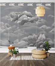 Load image into Gallery viewer, Serenity Mural • Storm • Rolls