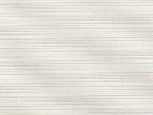 Aiko wallpaper in Champagne