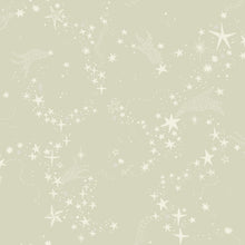 Load image into Gallery viewer, Stjarnhimmel