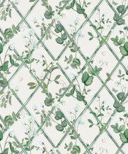 Load image into Gallery viewer, Petite Climbing Sweet Pea Wallpaper • Irish Linen • Swatch