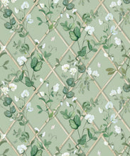 Load image into Gallery viewer, Petite Climbing Sweet Pea Wallpaper • Sage &amp; Cane • Swatch