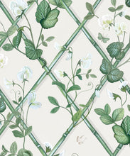Load image into Gallery viewer, Grande Climbing Sweet Pea Wallpaper