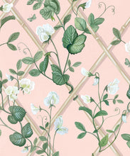 Load image into Gallery viewer, Grande Climbing Sweet Pea Wallpaper • Pink • Swatch