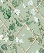 Load image into Gallery viewer, Grande Climbing Sweet Pea Wallpaper • Sage &amp; Cane • Swatch