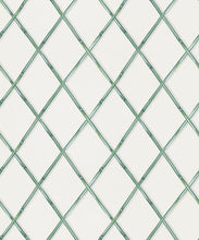 Load image into Gallery viewer, Colony Wallpaper • Irish Linen • Swatch