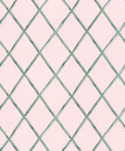 Load image into Gallery viewer, Colony Wallpaper • Pink &amp; Green • Swatch