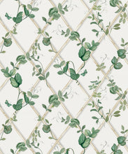 Load image into Gallery viewer, Petite Ivy Wallpaper • Irish Linen &amp; Cane • Swatch