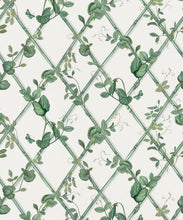 Load image into Gallery viewer, Petite Ivy Wallpaper • Irish Linen &amp; Green • Swatch