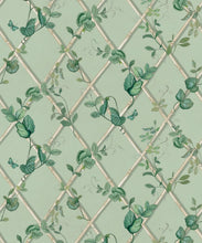 Load image into Gallery viewer, Petite Ivy Wallpaper • Sage &amp; Cane • Swatch