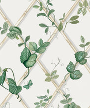Load image into Gallery viewer, Grande Ivy Wallpaper • Irish Linen &amp; Cane • Swatch